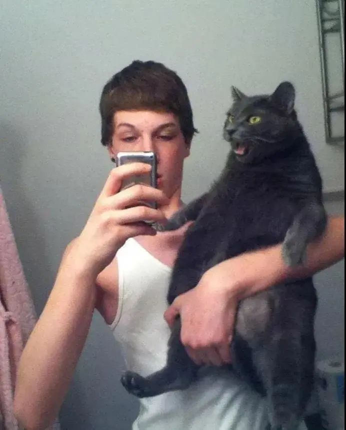 被猫咪调戏怎么办,猫咪被阿姨骚扰