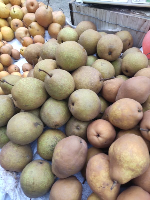 庄河最大早市,庄河南早市