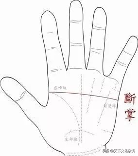 手相女右手解析有图,女人六种手相最好命图片
