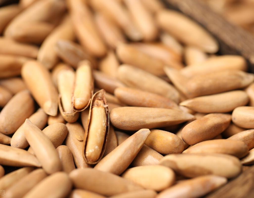 巴西松子为什么不是巴西产的,巴西松子为什么叫巴西松子