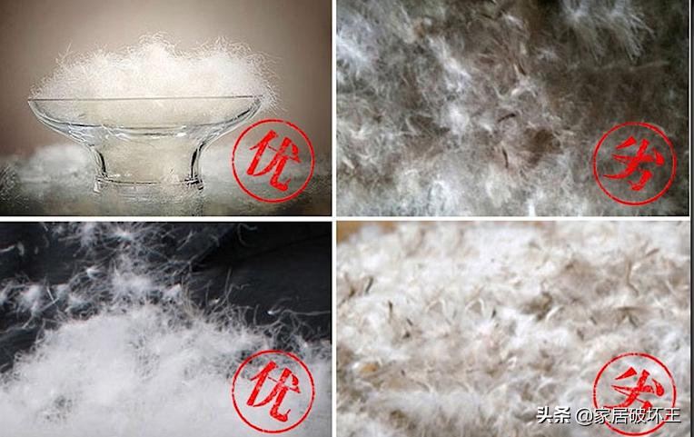 羽绒被行业骗局揭秘,羽绒被的十大骗局
