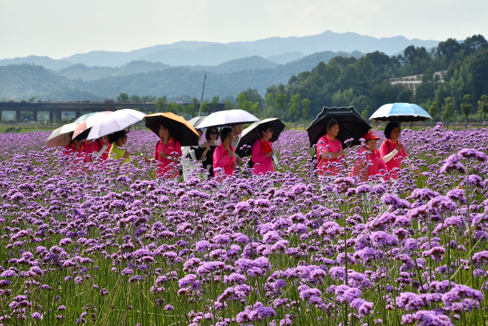 景德镇近代瓷器发展,千年瓷都景德镇有哪些瓷器