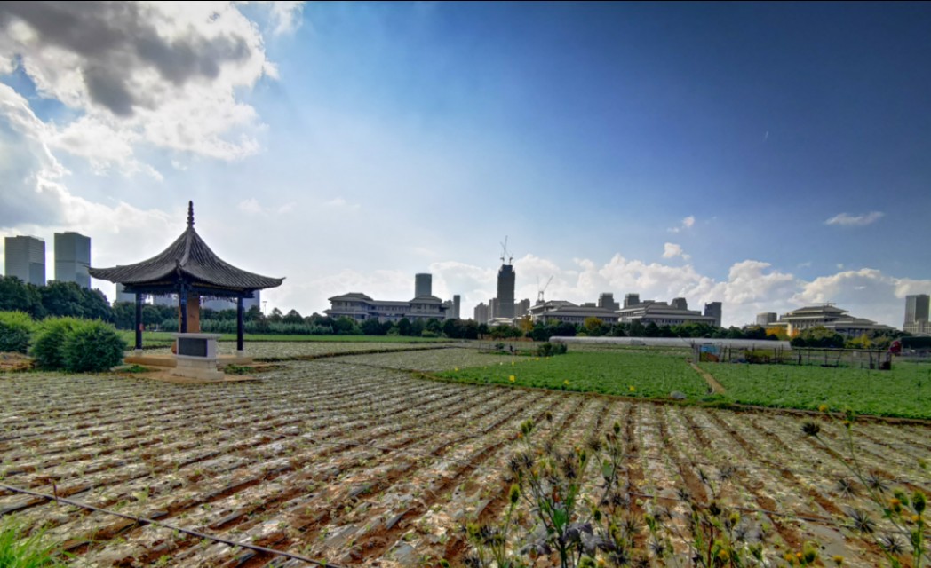 赏景听歌笑红尘,秋叶笑红尘赏析