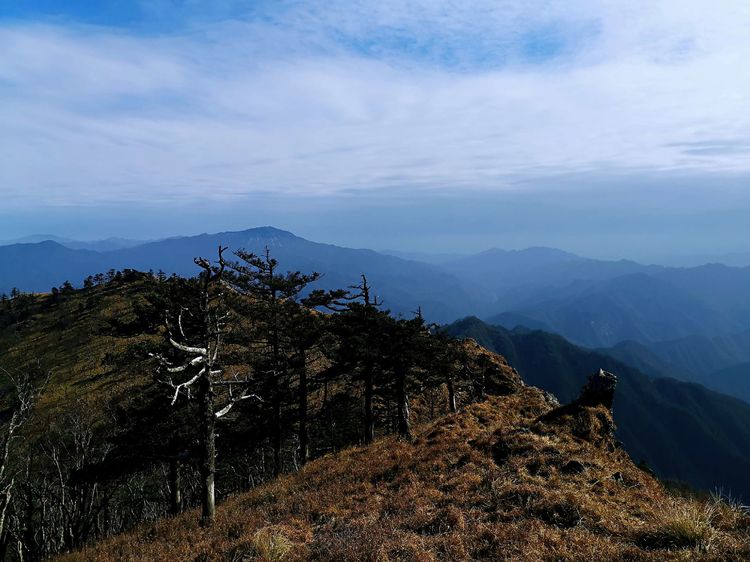 20201101惊悚之行~首阳山大坪梁单日横穿+原返