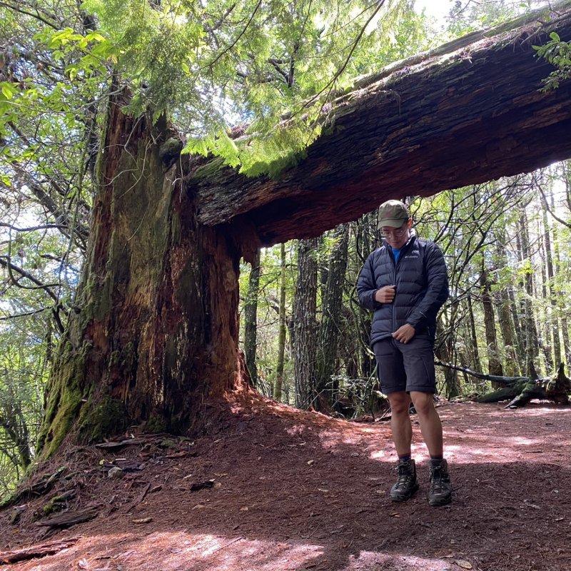 哥伦比亚冲锋衣测评可以上雪山吗,哥伦比亚冲锋衣绿色拼接