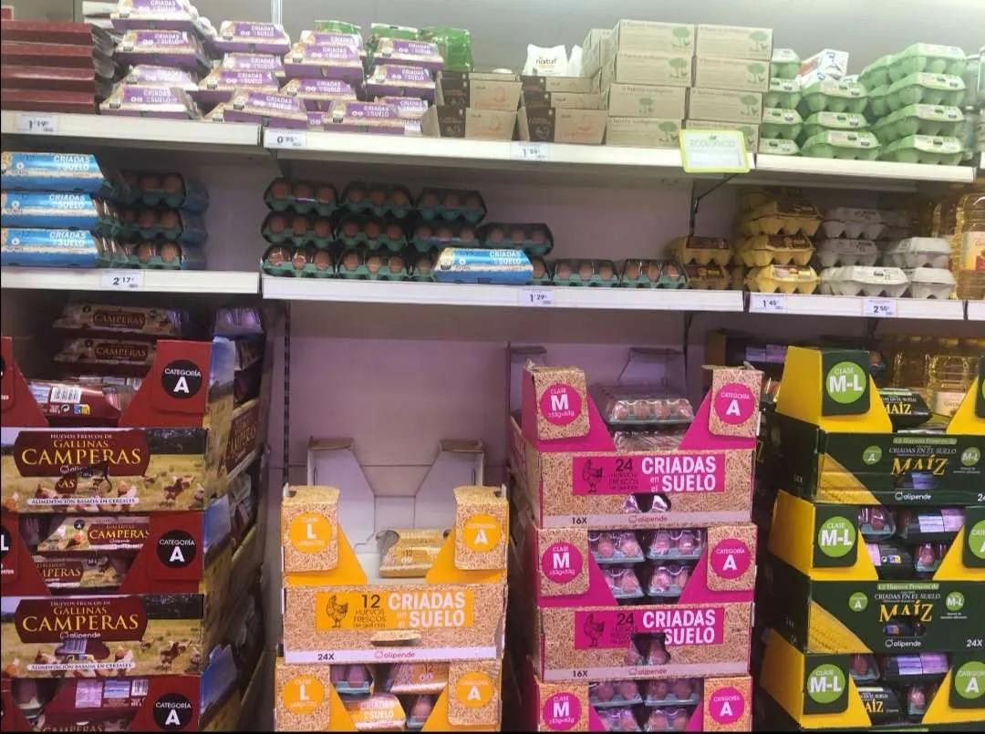 初中毕业去西班牙留学怎么样,去西班牙留学需要什么条件