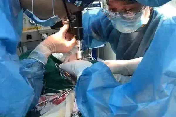 猫咪狗狗骨折了怎么办？扒一扒宠物“骨子里”的那些事