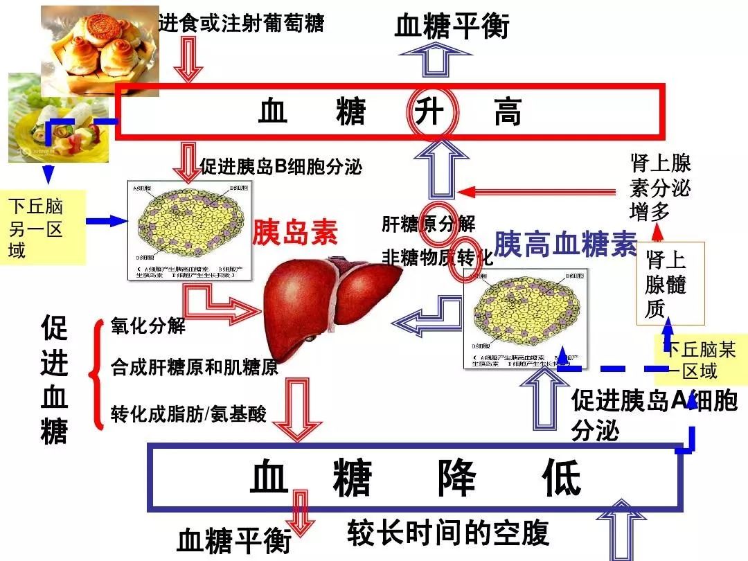 内分泌科专家谈糖尿病,内分泌科主要诊断糖尿病的方法