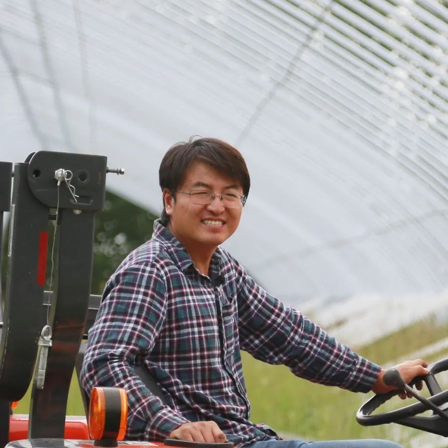 华裔建文学城,好莱坞也来挖剧本!没想到创业蓝图竟是1张餐巾纸