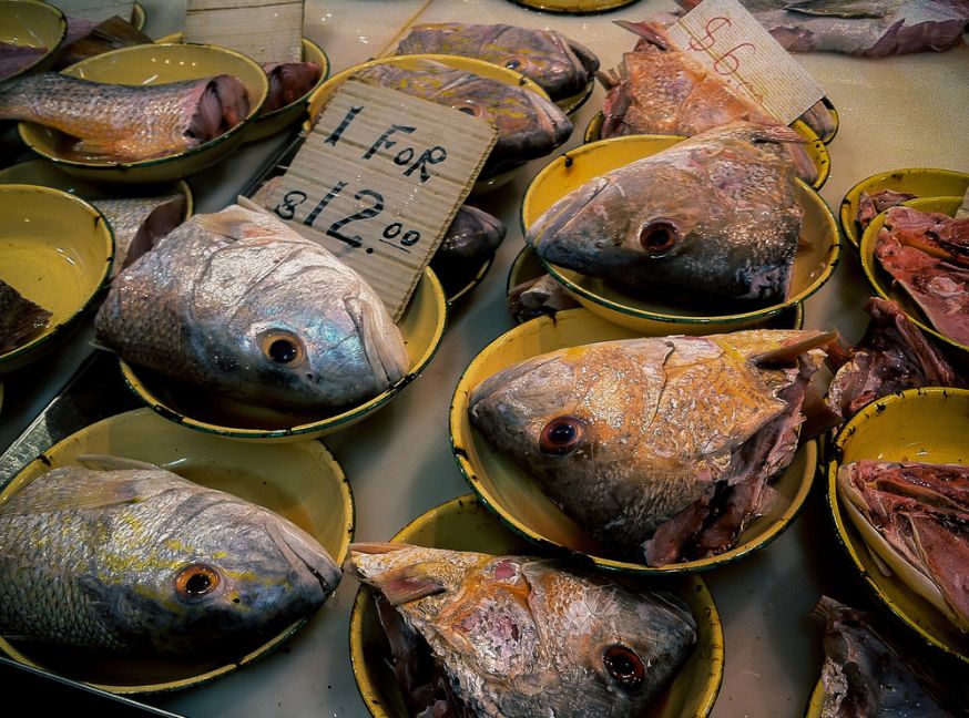 新加坡人爱吃的食物,新加坡奇葩美食图片