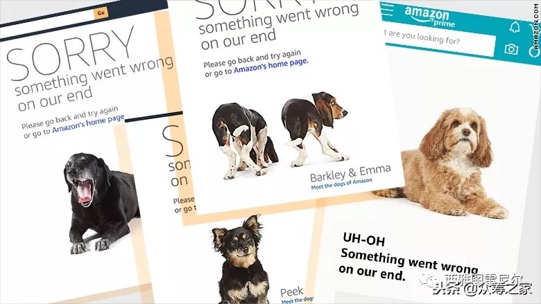 双十一阿里变京东了吗,亚马逊primeday