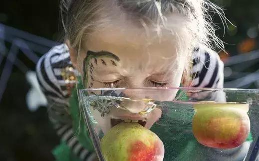 好吃好喝又好玩的大礼包,好吃又好玩大礼包