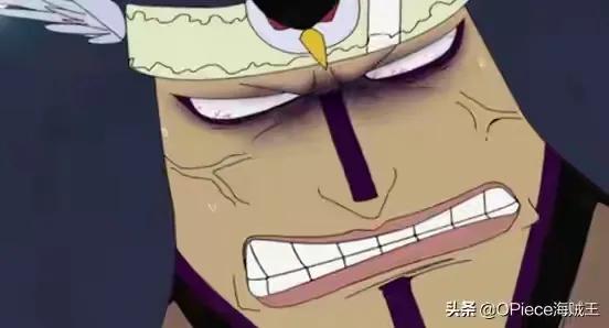 海贼王机械甲,海贼王里特殊的武器