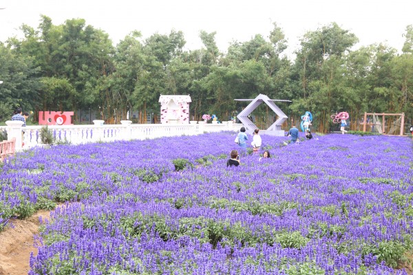森林花海亲子游攻略,森林公园亲子游推荐