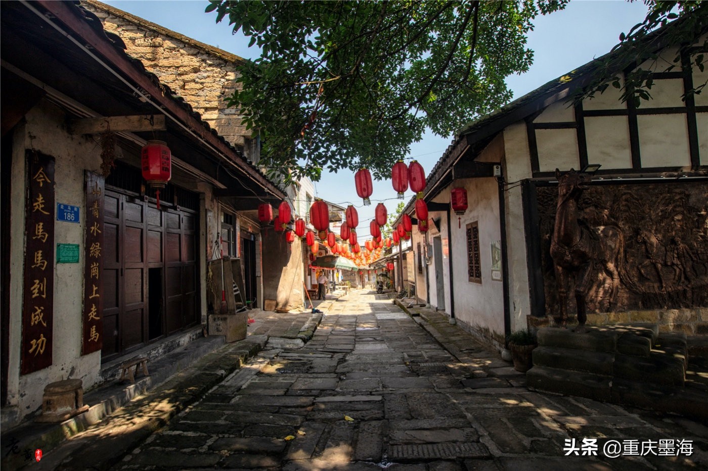 探寻九龙天棺,探索九龙游