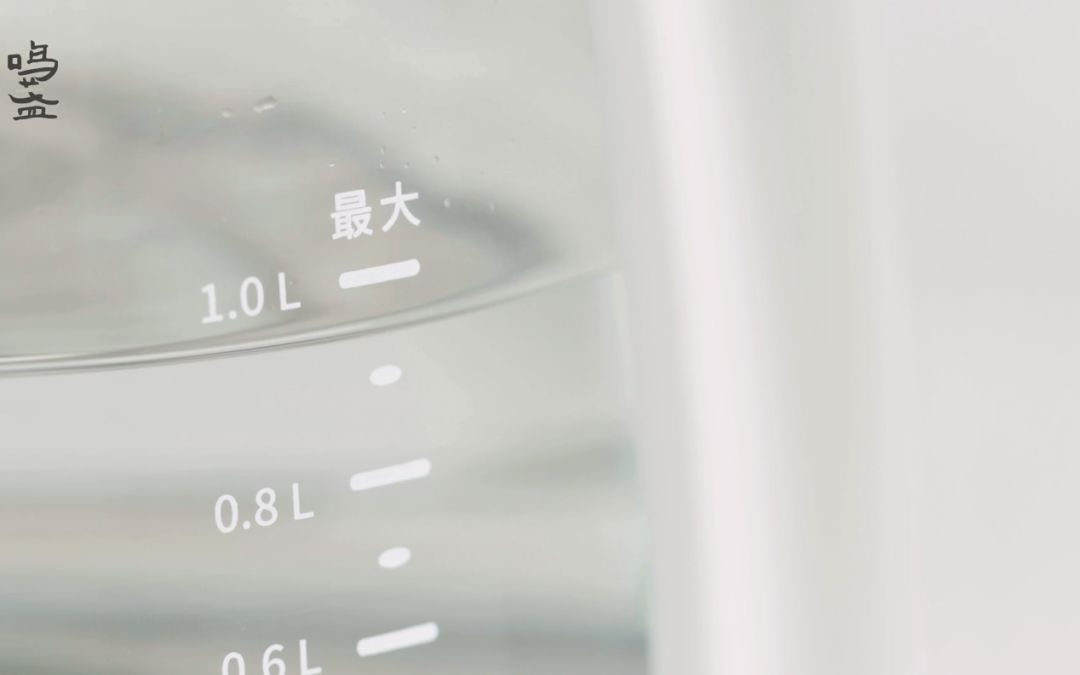 养生壶煮水果茶的茶具,煮茶养生茶具