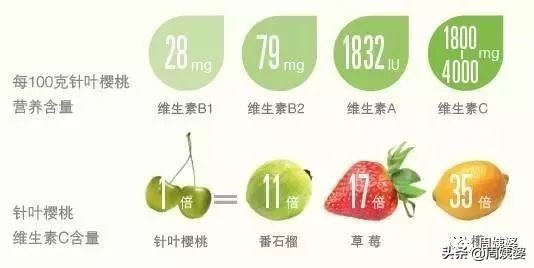 孕妇需要补充哪些营养素和维生素,孕妇营养素哪个牌子好