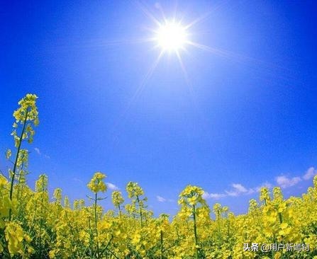 喜欢一个人得不到又放不下怎么办,喜欢她却得不到她