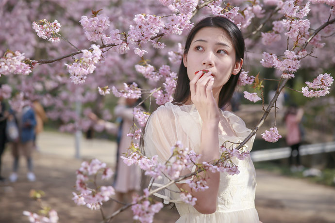 5本老书虫的玄幻小说,五本适合老书虫的小说