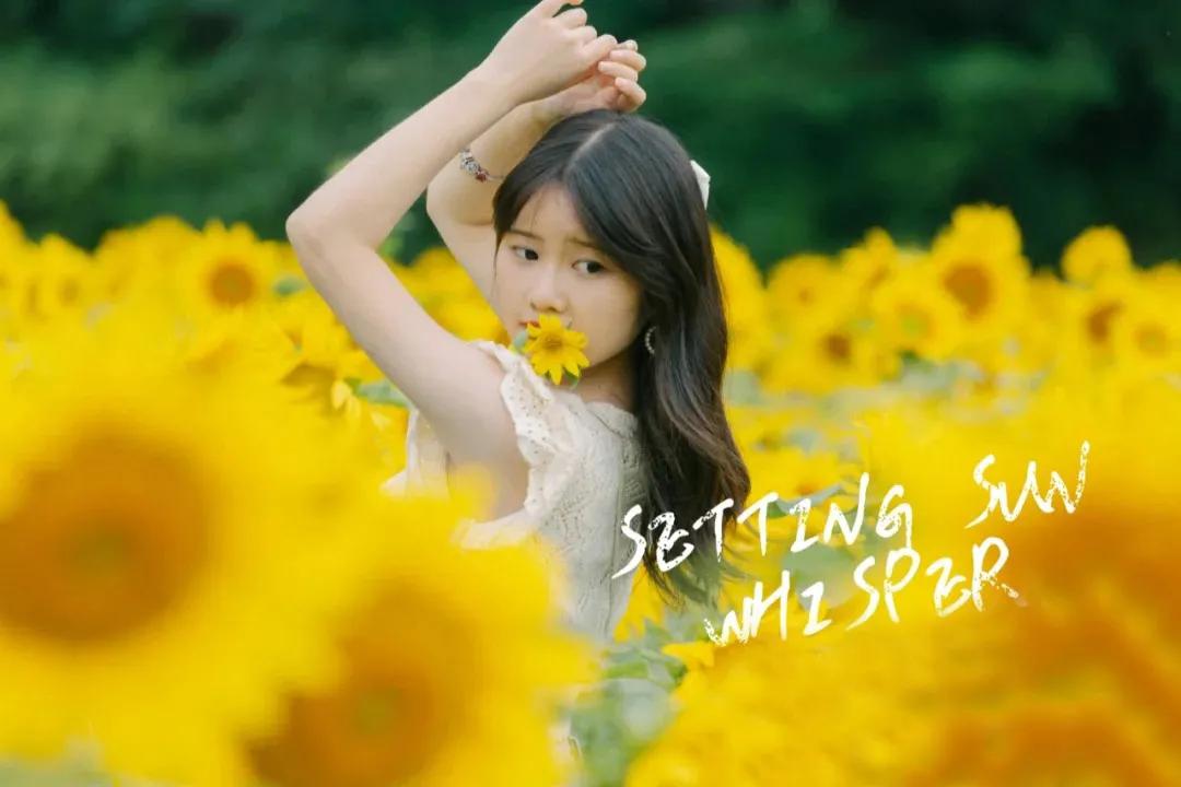 向日葵花海景点成都双流,双流周边向日葵景区在哪里