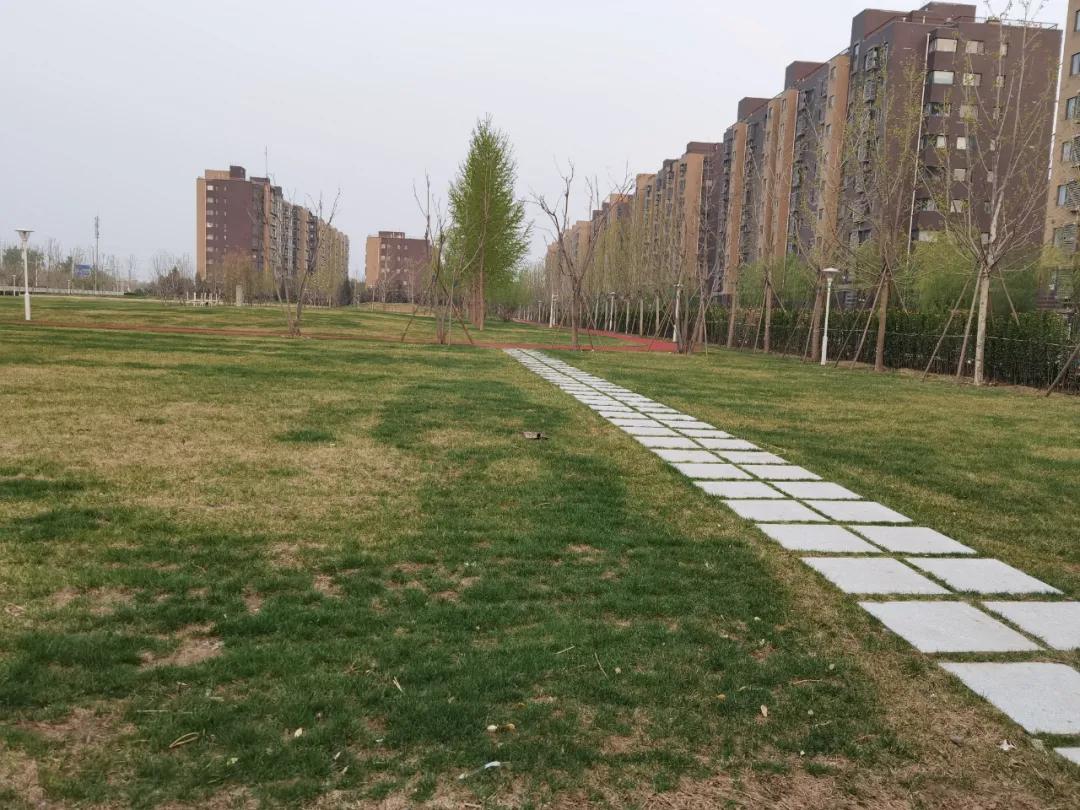 昌平这2条道路即将大修具体位置,昌平好消息