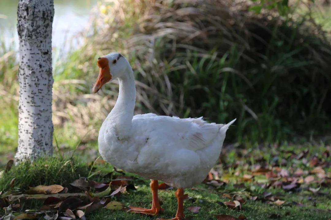 汉川5天周边游攻略,汉川徒步旅游攻略一日游