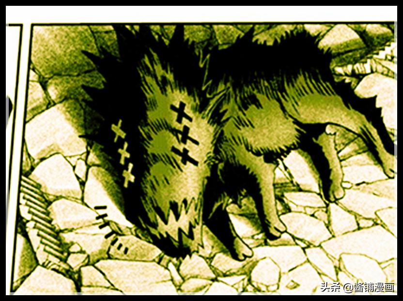 一拳超人埼玉驯服波奇,一拳超人漫画解说波奇