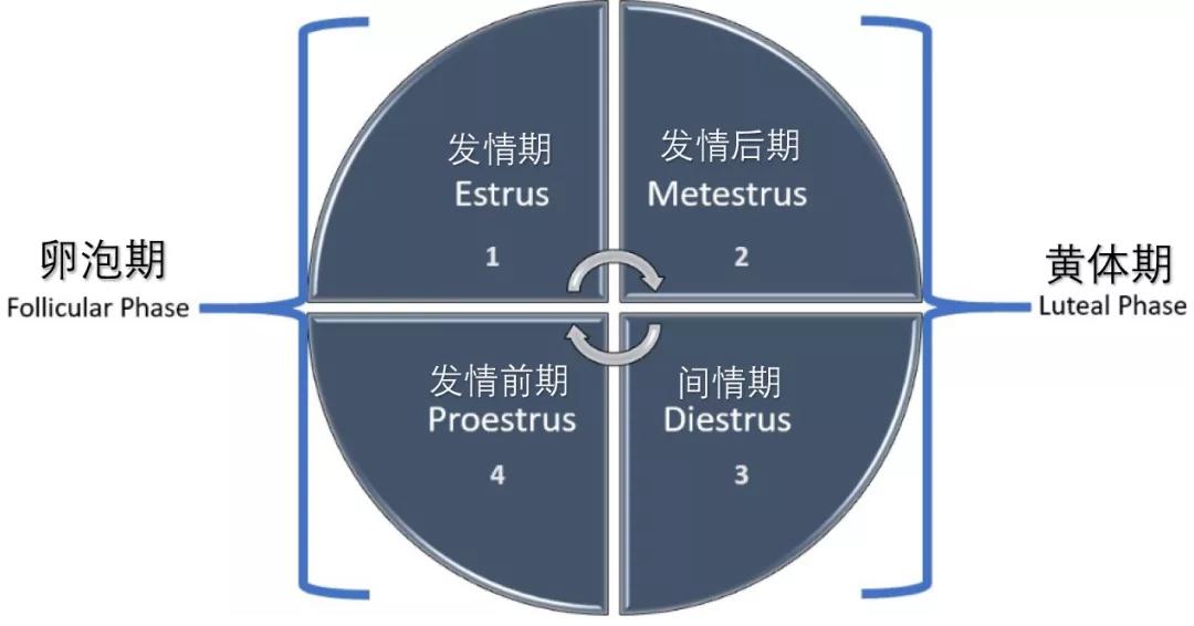上海卡苏生物有限公司,上海卡苏生物