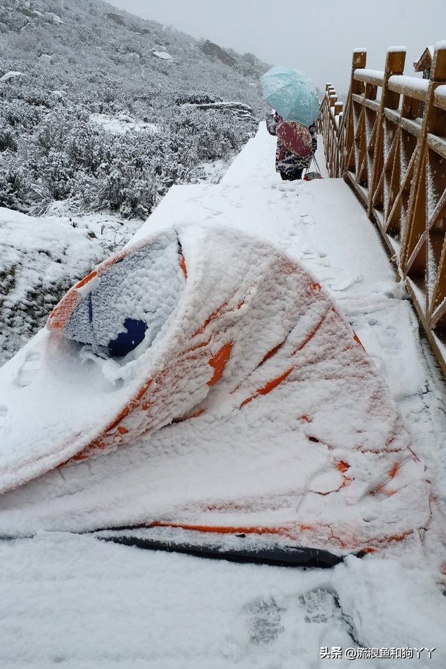 年保玉则现在开放了吗,年保玉则为啥被封