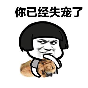 土拨鼠宠物怎么样养,土拨鼠宠物建议养吗