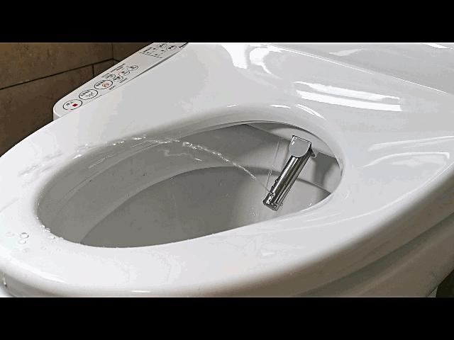 松下dl-1310cws评测,松下1310cws马桶盖