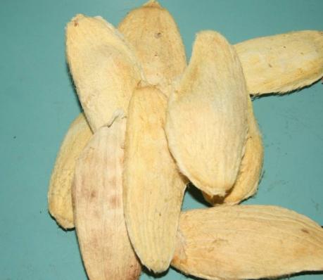 芒果腐烂,变质芒果的处理方法