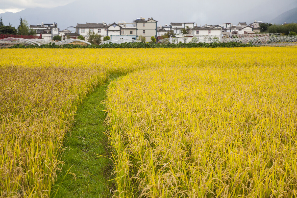 大理洱海网红打卡地游玩顺序,大理洱海最新旅游攻略