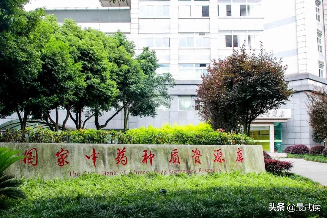 成都中医药大学，不能再低调了！