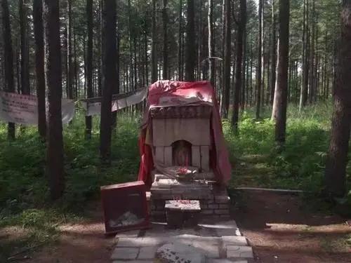 坝上三大景点,坝上草原是丰宁还是围场的