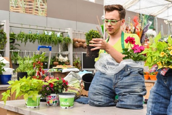 牛仔裤改造花盆,旧牛仔裤的改造花盆