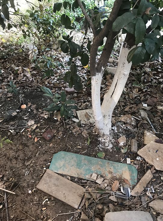 交付10年，涨幅1024%！曾经无人问津的楼盘，现在成了啥样？