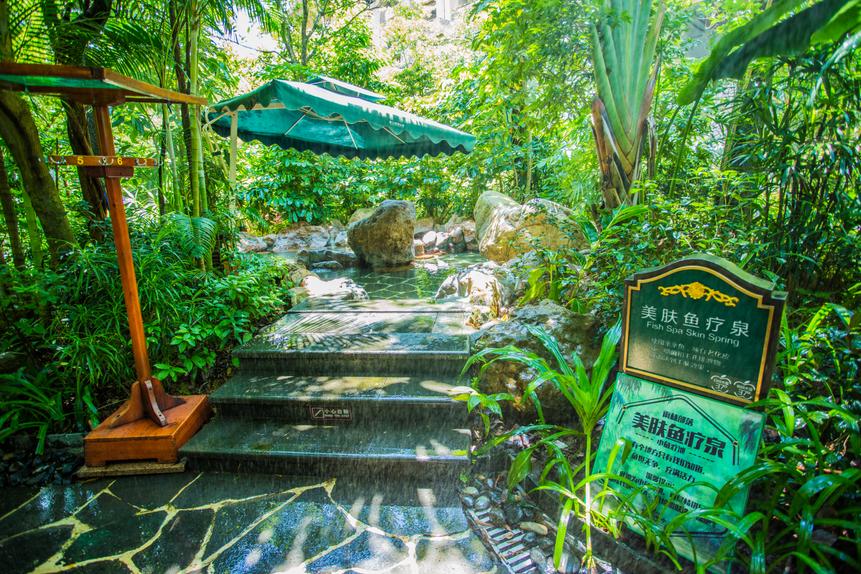 增城温泉别墅度假村,增城温泉度假村排名榜最新