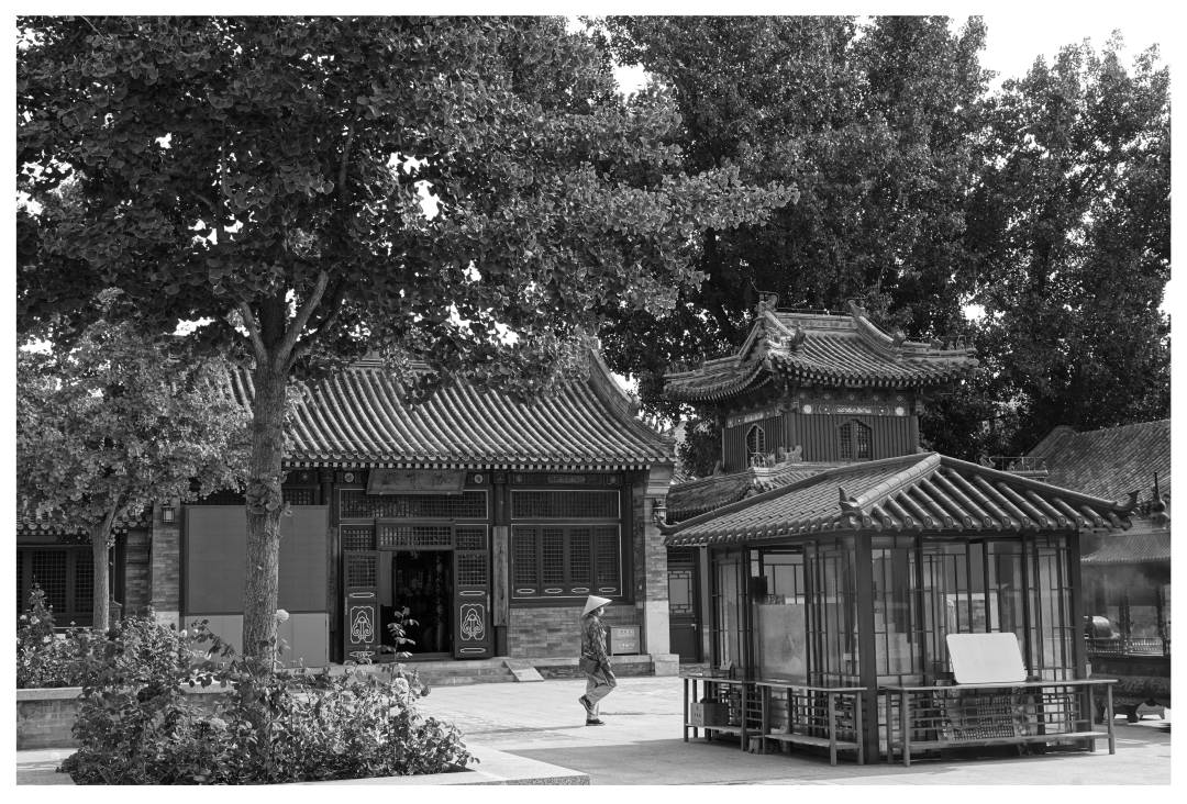 灯明三百六十点，最好天宁云外塔-天宁寺-静休