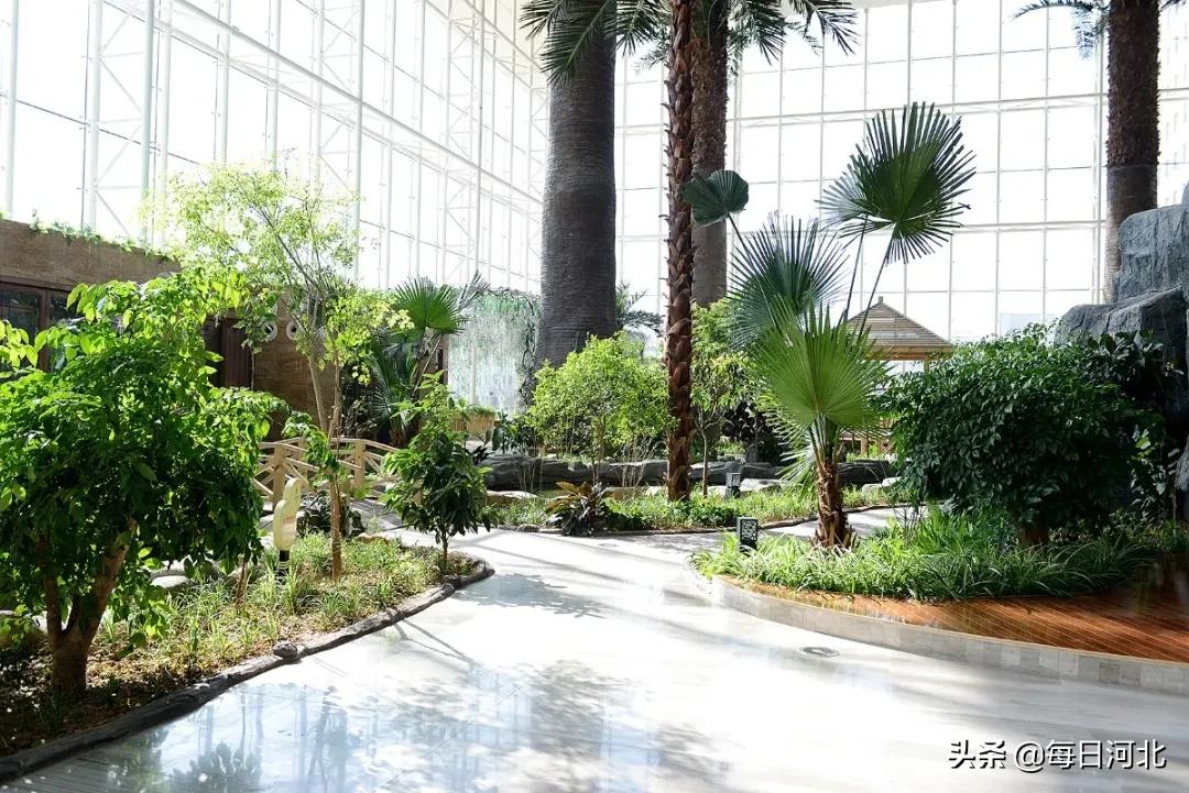 一个温暖又有趣的酒店,选择一个舒适温暖的酒店