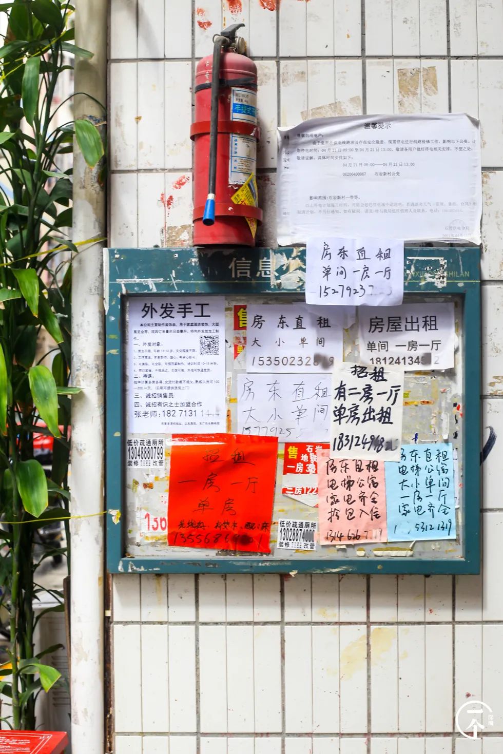 深圳“厂哥村”，女生可以百里挑一？