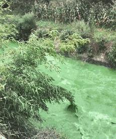 搞笑gif妹子的内心是崩溃的,搞笑gif妹子原来是个逗比