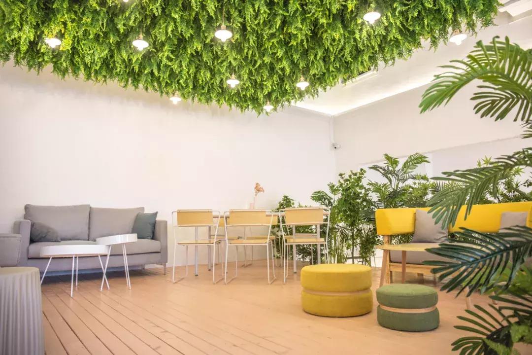 撩炸日韩少女心！风靡韩国的「花草系」咖啡店，韩国明星都爱去！