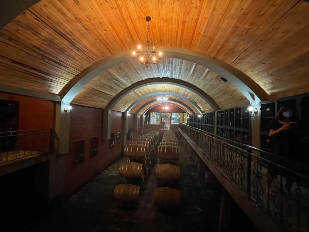 一个小城的夏天,夏天的城市处处都很治愈