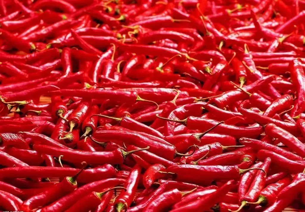 太辣了怎么解辣,太辣怎么办