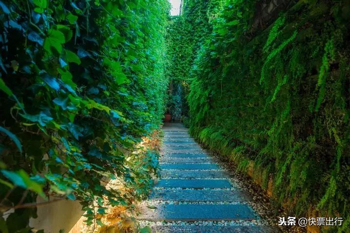 丽江去泸沽湖途经哪些地方,从丽江去泸沽湖路绕不绕