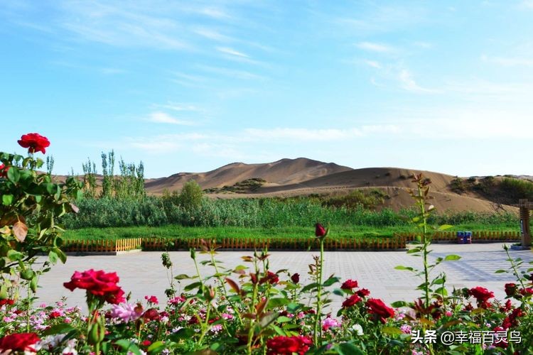 有了这攻略，自驾*藏西**游省心很多