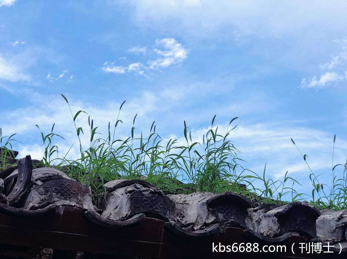 “势利眼”现象在我国各教育阶段的严重程度