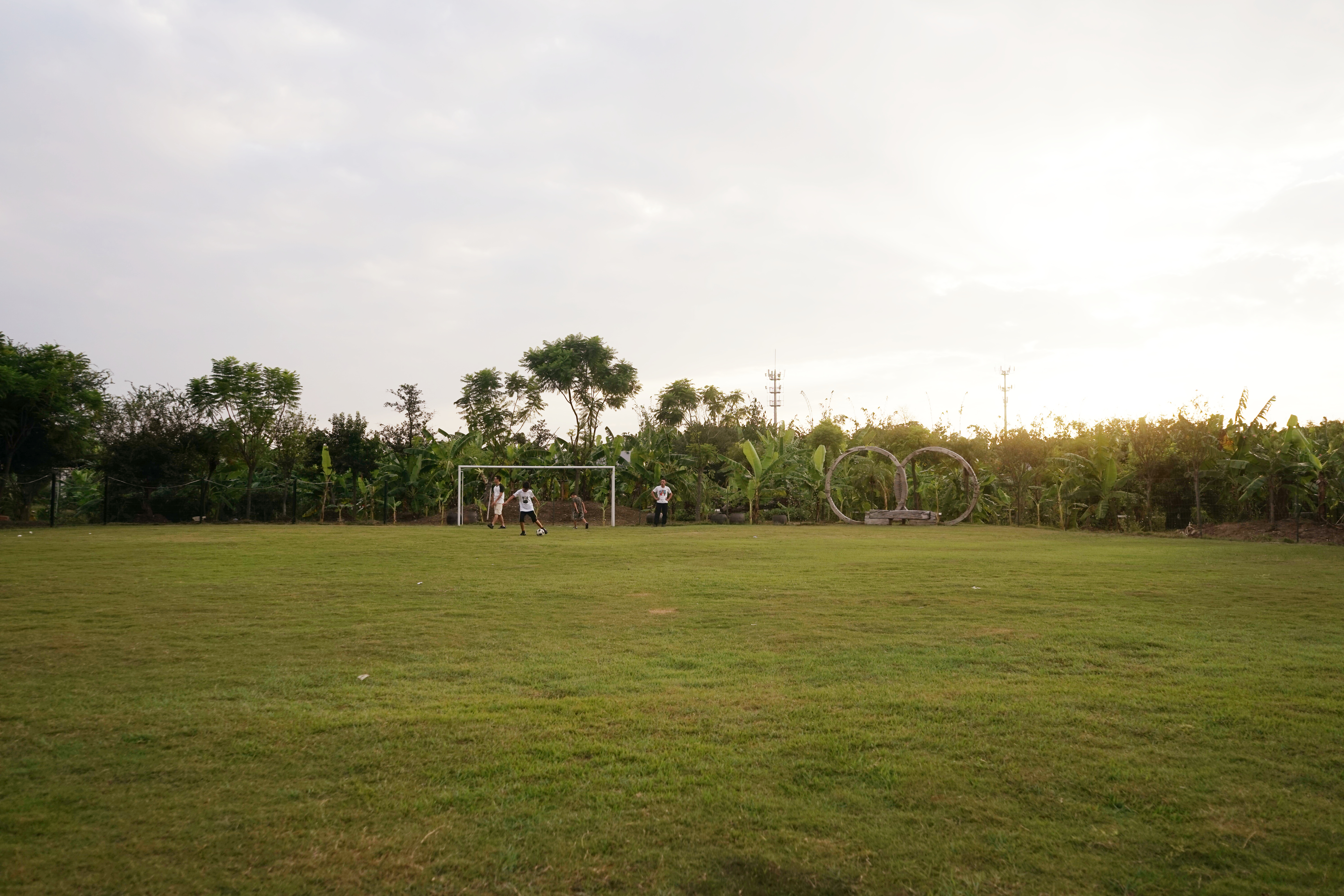 广东十大亲子农场,陈村亲子农场推荐