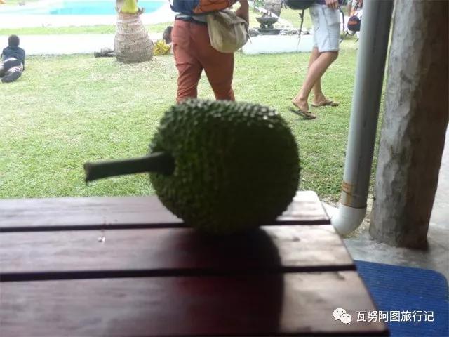 瓦努阿图森林物资,瓦努阿图有没人的原始森林么